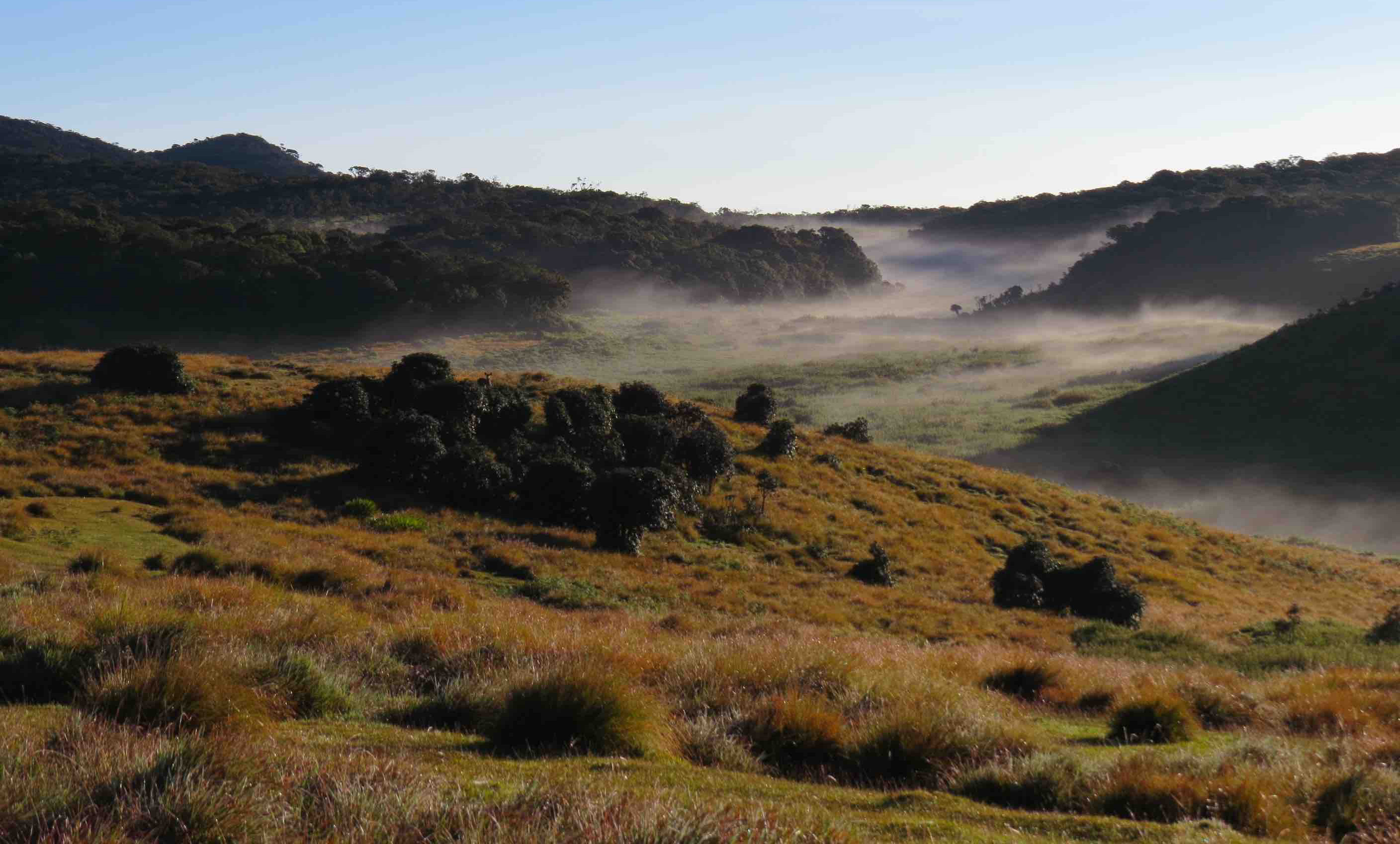 Horton Plains